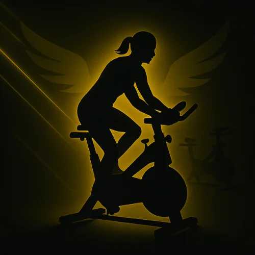 Bike Indoor
